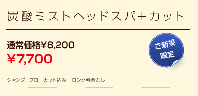 炭酸ミストヘッドスパ＋カット 通常価格\7,870 \7,350 ご新規限定 シャンプーブローカット込み　ロング料金なし