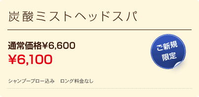 炭酸ミストヘッドスパ 通常価格\6,300 \5,800 ご新規限定 シャンプーブロー込み　ロング料金なし