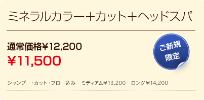 ミネラルカラー＋カット＋ヘッドスパ 通常価格\11,950 \10,950 ご新規限定    シャンプー・カット・ブロー込み　ミディアム￥11950　ロング￥12950